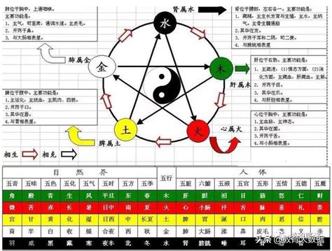 天運五行金|天运五行属金是什么意思 天运五行属金